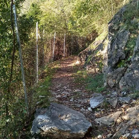 Il Terrazzino Apartment Musso