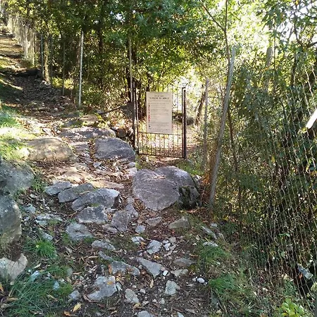 Il Terrazzino ムッソ